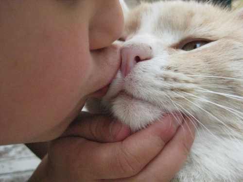 Dueño besando al gato