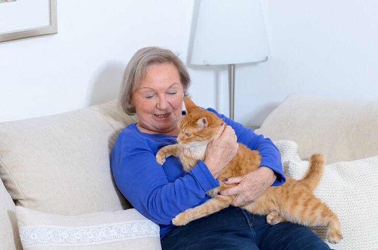 Una imagen que muestra una escena conmovedora entre una señora mayor y un gato.