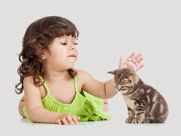 Una imagen de un niño y un gato participando en una tierna interacción.