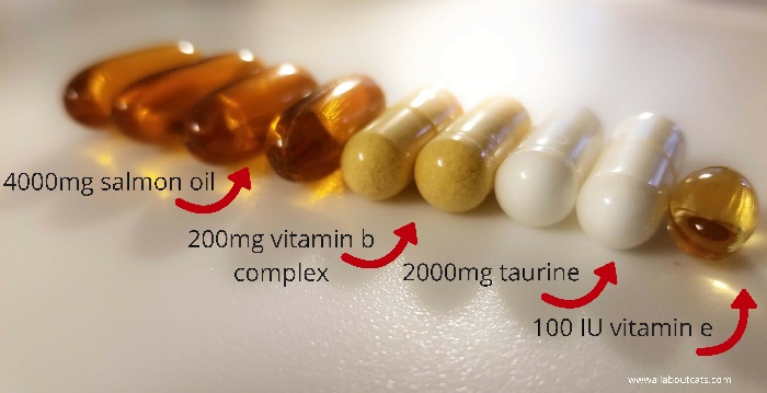 Suplementos (1)