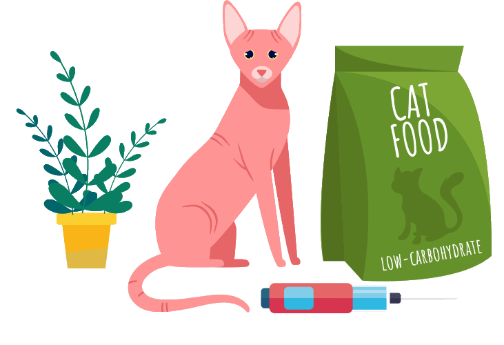 Alimentación de gatos con diabetes