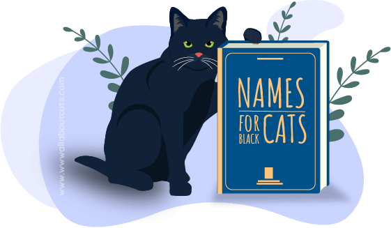 Nombres para gatos negros