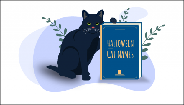 Los 150 nombres de gatos más populares con temática de Halloween