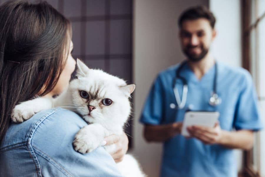 Mujer sosteniendo un gato durante un chequeo veterinario