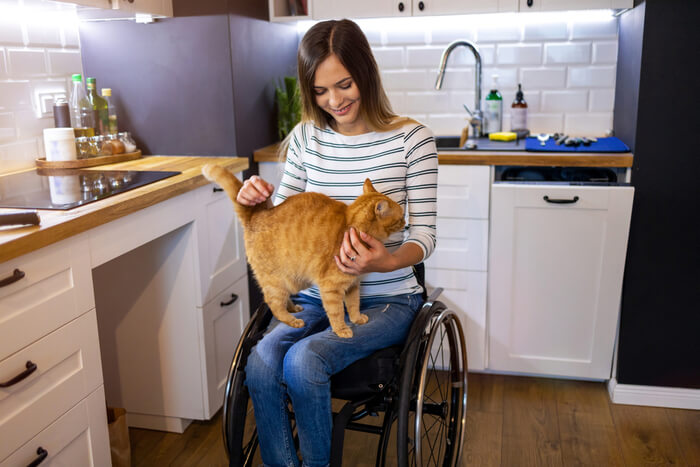 Cómo mantener a los gatos alejados de las encimeras