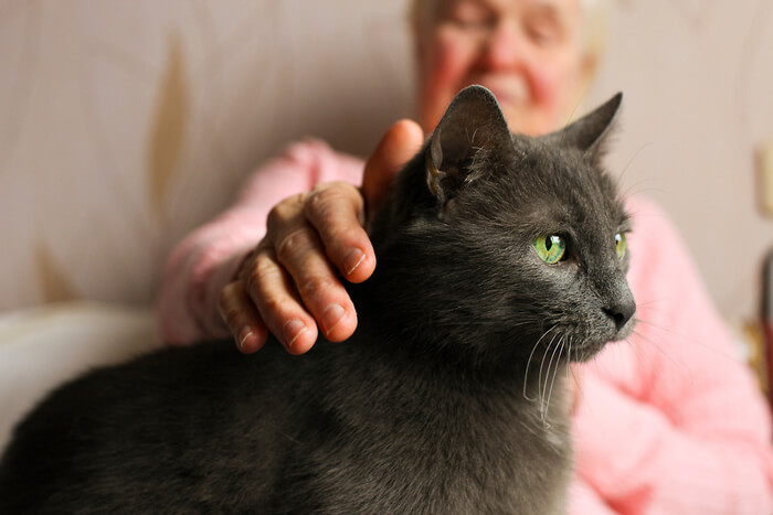 Una anciana acariciando a un gato gris.