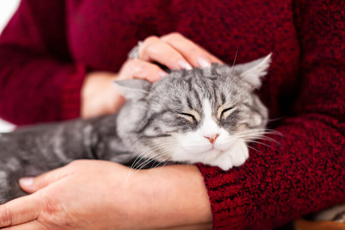 Mujer sosteniendo a su gato mientras lo acaricia cariñosamente.