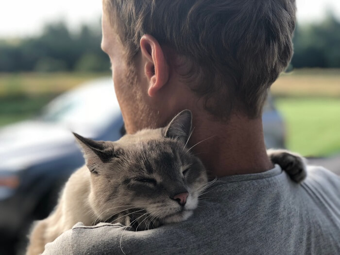 Imagen que muestra a un humano consolando a un gato triste.