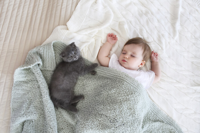 Bebé durmiendo la siesta con gatito