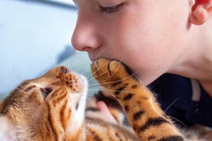 Niño con gato de bengala