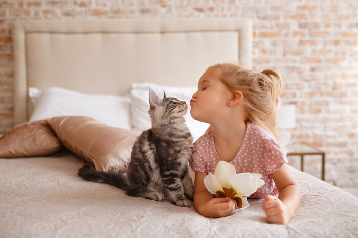 Una imagen que muestra a una niña interactuando con un gato.