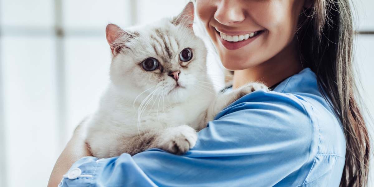 Veterinario sosteniendo suavemente a un gato tranquilo y contento.