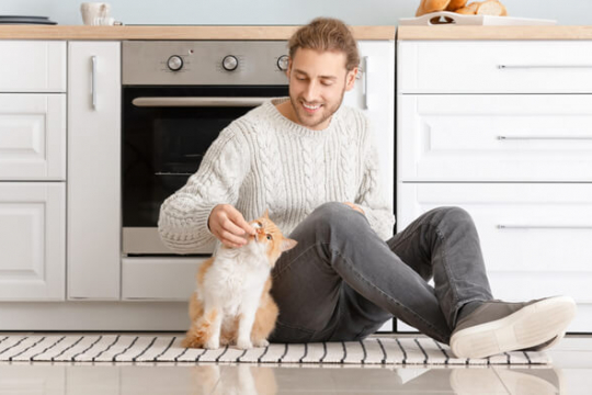¿Qué es la comida para gatos de calidad humana y en qué se diferencia?