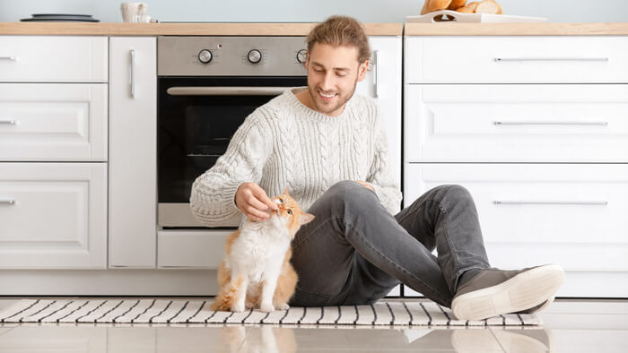 Característica de la comida para gatos de calidad humana