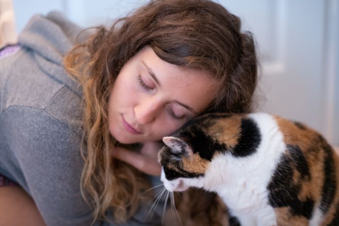 gato interactuando con humano