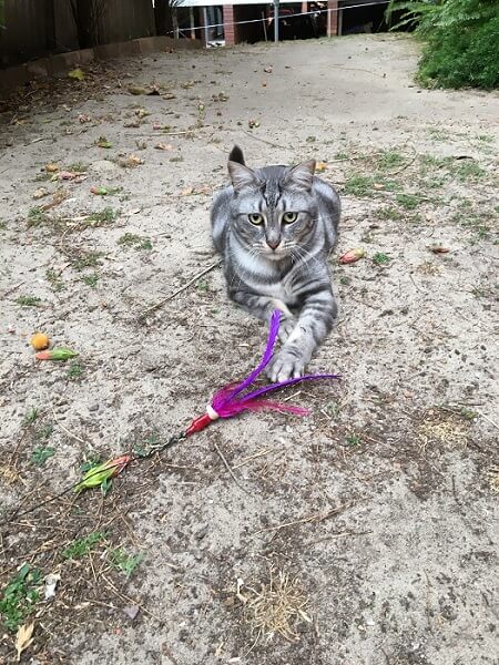 Jose Miguel jugando con Da Bird en el jardín