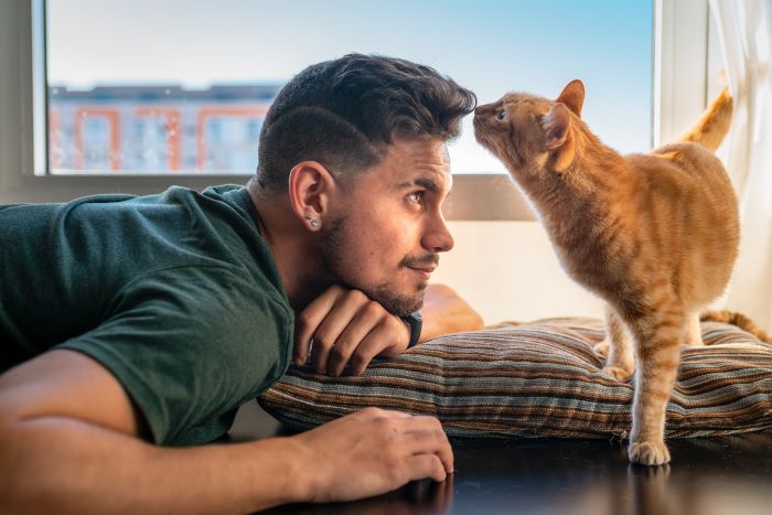 gato olfateando el cabello del hombre