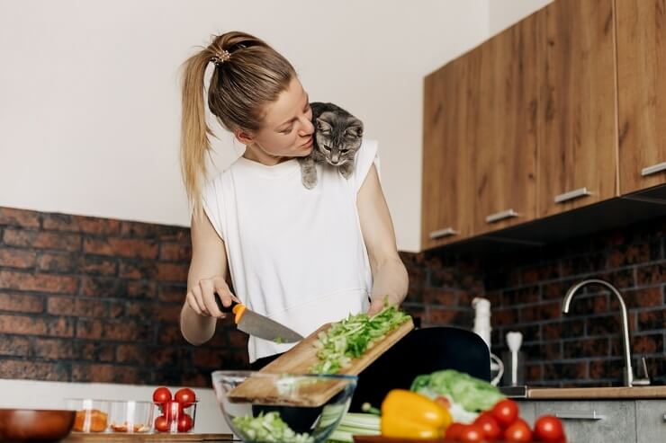 Mantenga a los gatos fuera de las encimeras: un gato sobre el hombro de una mujer en la cocina