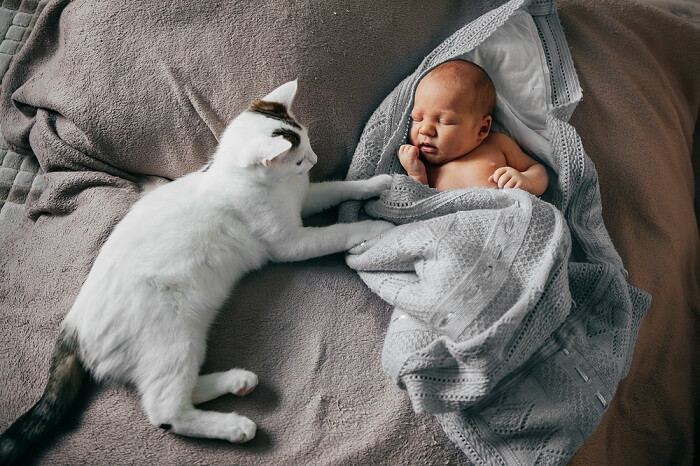 Una imagen encantadora de un bebé y un gato juntos, que muestra una interacción dulce y entrañable entre los dos.