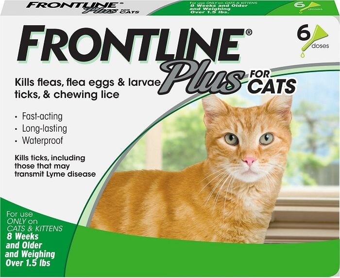 Frontline Plus para gatos: descripción general, dosis y efectos secundarios