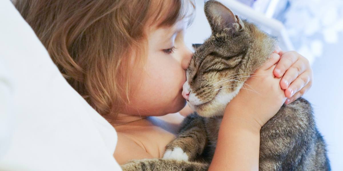 Una imagen de un niño besando cariñosamente a un gato.