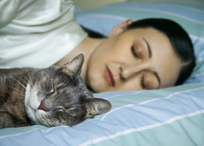 Imagen de una mujer durmiendo pacíficamente con un gato, ejemplificando la compañía relajante y la calidez que los gatos pueden brindar a la vida humana.