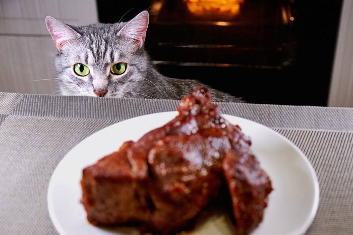 Imagen que ilustra los posibles beneficios de que los gatos coman carne de cerdo.