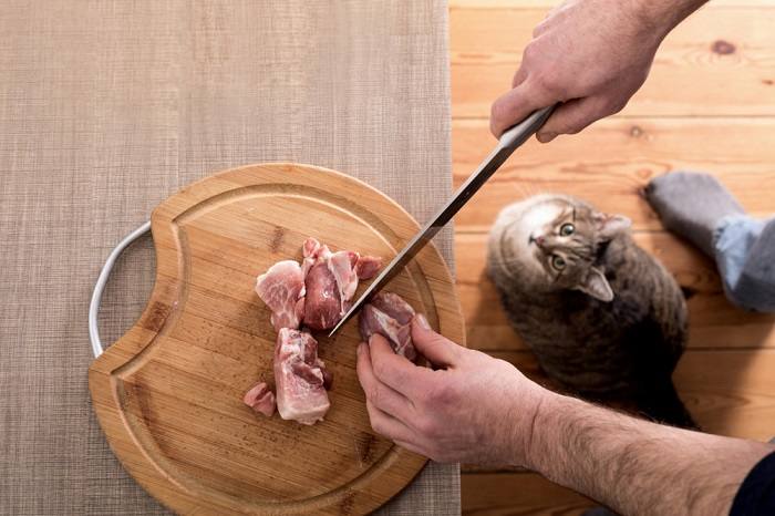 Imagen que muestra a un humano cortando carne de cerdo, lo que potencialmente plantea preguntas sobre compartir con gatos.