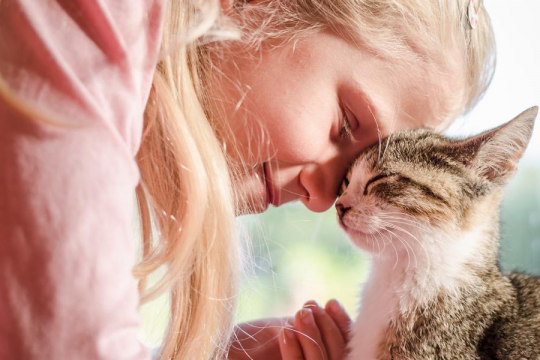 5 Maneras de construir un vínculo más fuerte con tu gato