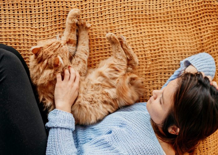 Una imagen que muestra a una mujer y un gato naranja en un momento conmovedor.