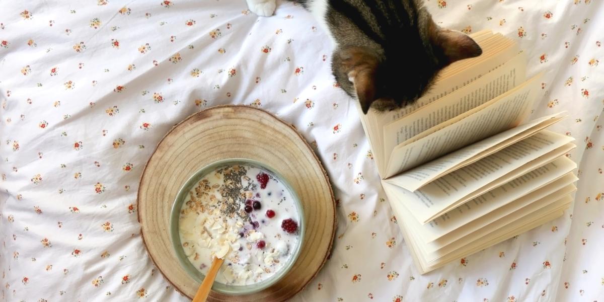 Un gato cómodamente acurrucado en una cama junto a un tazón de avena y un libro, creando una escena acogedora y encantadora.