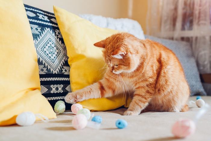 Una imagen que captura un gato pelirrojo en un comportamiento lúdico.