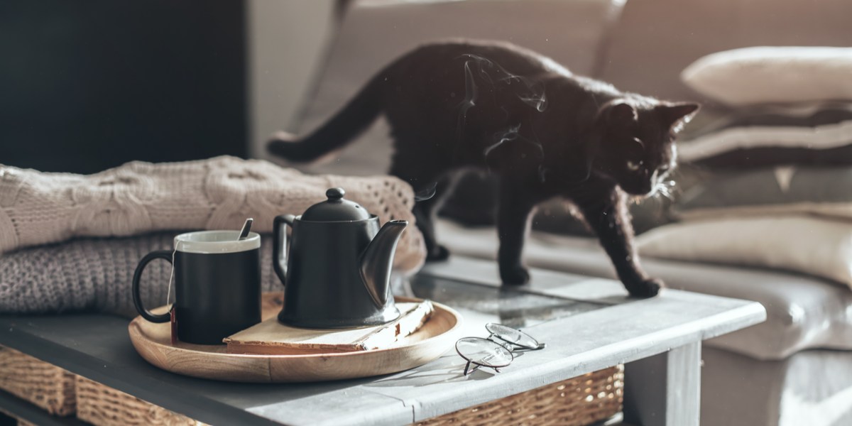 Colección de imágenes divertidas que capturan gatos tirando diversos objetos de las mesas, resaltando su comportamiento juguetón y travieso.