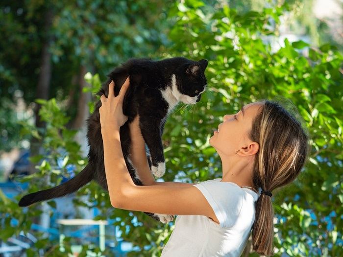 Mirada directa a los ojos de un gato alerta y atento.