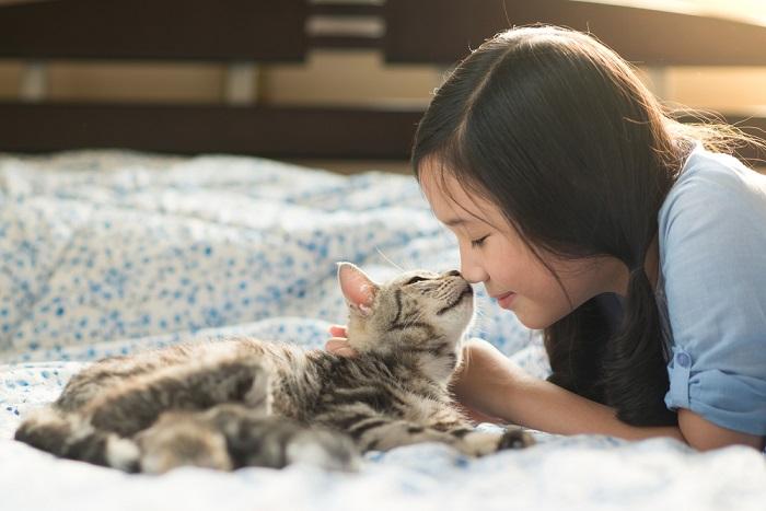 Un niño y un gato juntos, representando una interacción conmovedora entre un niño pequeño y un compañero felino.