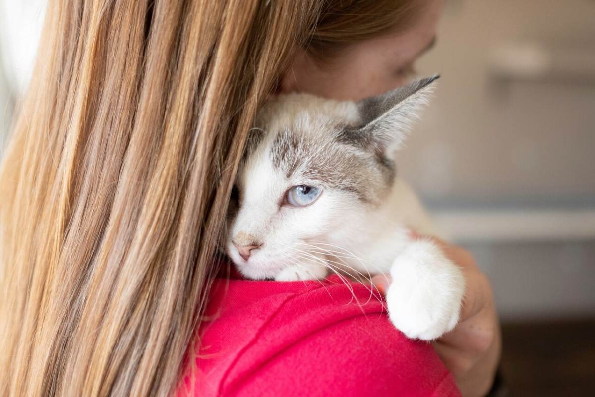 Imagen de una dama abrazando cálidamente a su gato, retratando un momento conmovedor de afecto y conexión entre el dueño de una mascota y su compañero felino.