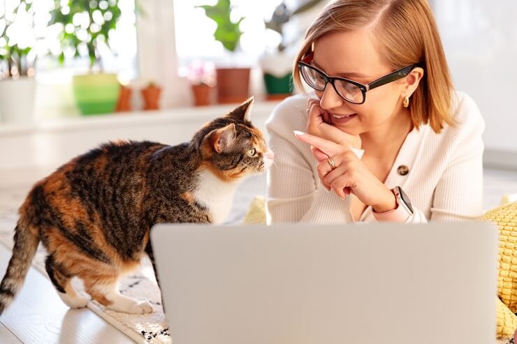 Un gato curioso y alerta, con las orejas erguidas y los ojos enfocados, buscando ansiosamente atención e interacción.