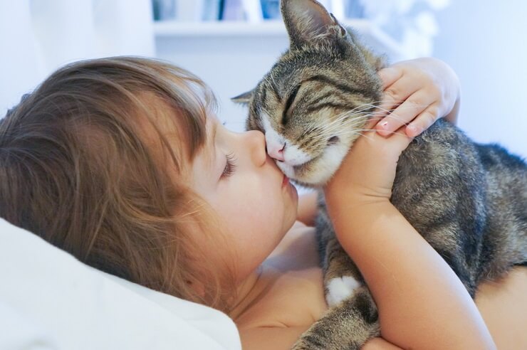 La imagen muestra a un gato frotando su cara contra una persona, un objeto o incluso una esquina.