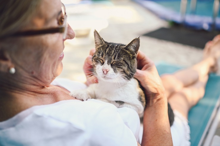 Un gato consolándose a sí mismo.