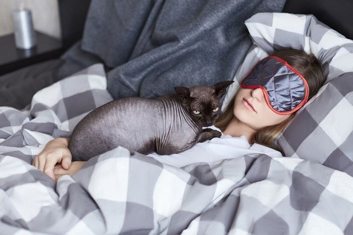 Un adorable gato gris y blanco acurrucado cómodamente, buscando seguridad y comodidad en su entorno.