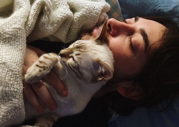 Un hombre y un gato durmiendo juntos, ilustrando la estrecha relación entre un humano y su amigo felino.