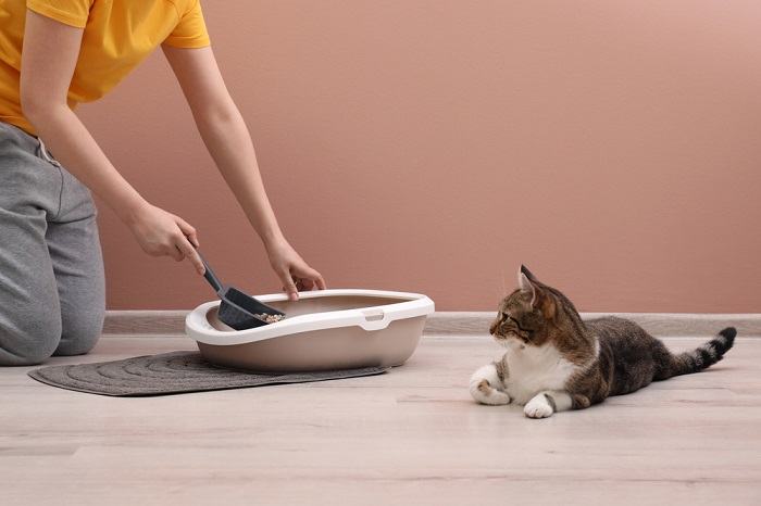 Mujer limpiando la caja de arena de un gato, demostrando que es una persona responsable y que mantiene la higiene