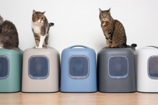 ¿Cuántas cajas de arena debería tener cada gato?