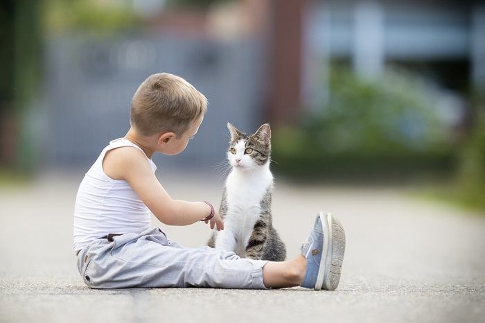 Suena como a gatos