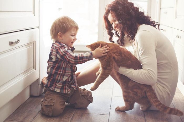 Una imagen entrañable que muestra a un gato y un niño pequeño compartiendo un momento conmovedor.