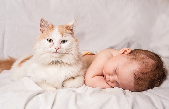 Un gato vigilante que observa con una mirada protectora a un bebé que duerme pacíficamente.