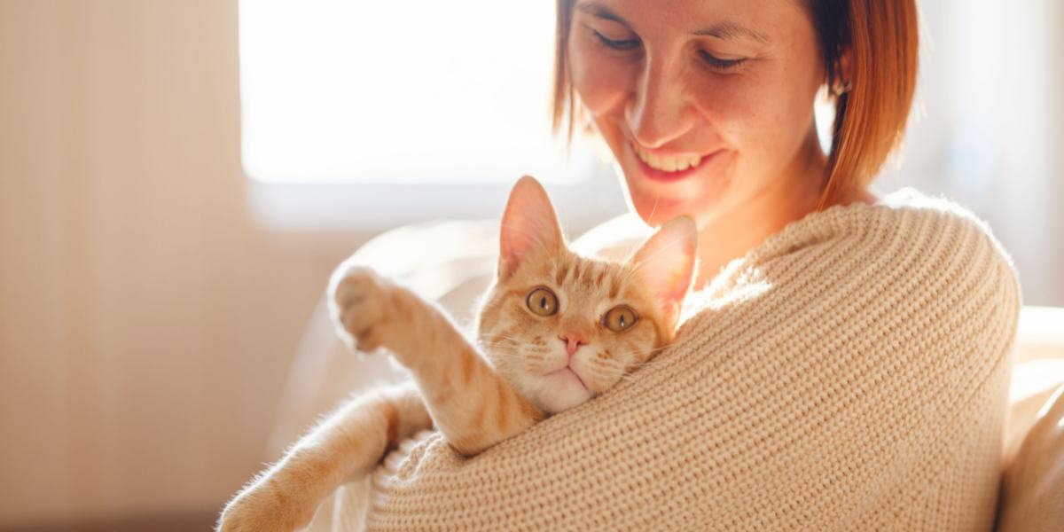 Entrenar a un gato que parece no escuchar puede ser un desafío, pero no es imposible.