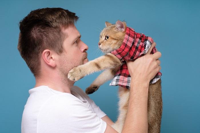 Fotografía de un hombre sosteniendo un gato contento y relajado, ambos exudando una sensación de armonía y amistad en su momento compartido.