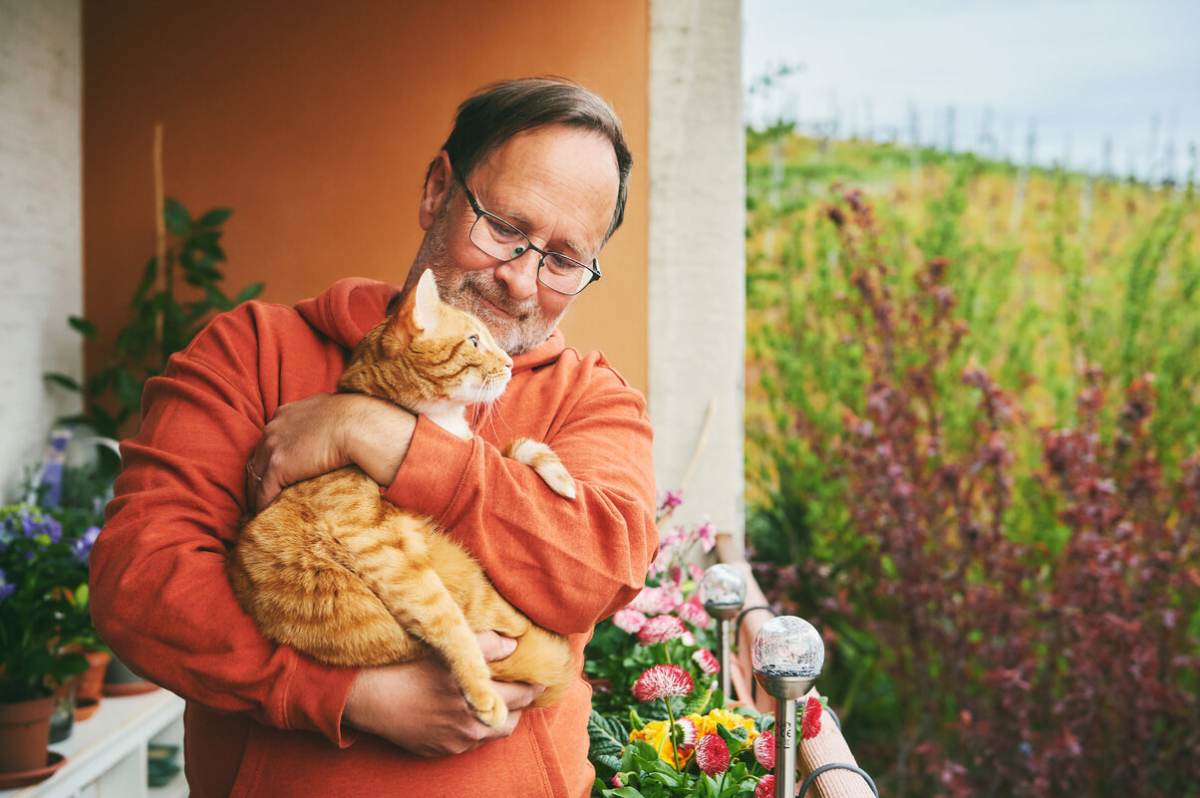 Fotografía de un esposo con un gato en sus brazos, que ilustra una conmovedora muestra de compañerismo y cuidado entre el dueño de una mascota y su amigo felino.