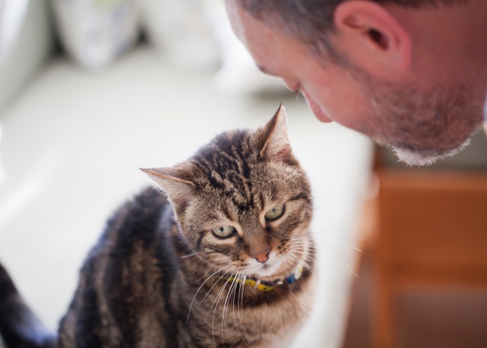 Imagen de un hombre compartiendo un momento tierno y cariñoso con su gato, mostrando el vínculo gentil y amoroso que han formado.